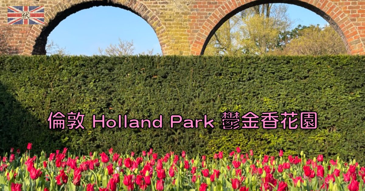 倫敦 Holland Park 鬱金香花園