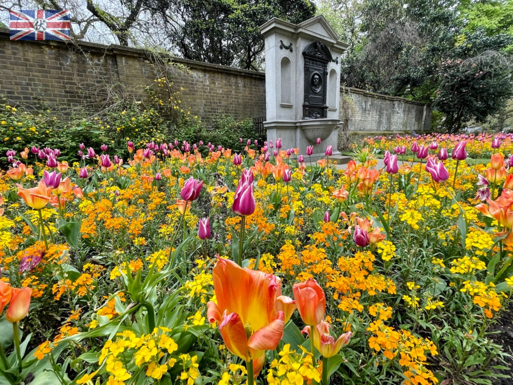 Victoria Embankment Gardens 鬱金香花谷