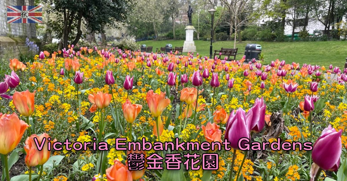 倫敦 Victoria Embankment Gardens 鬱金香花園
