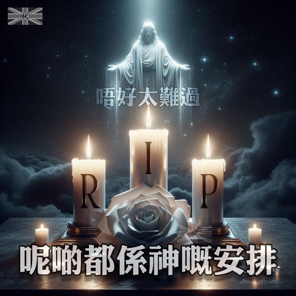 呢啲都係神嘅安排 慰問卡
