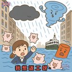 8號風球返工