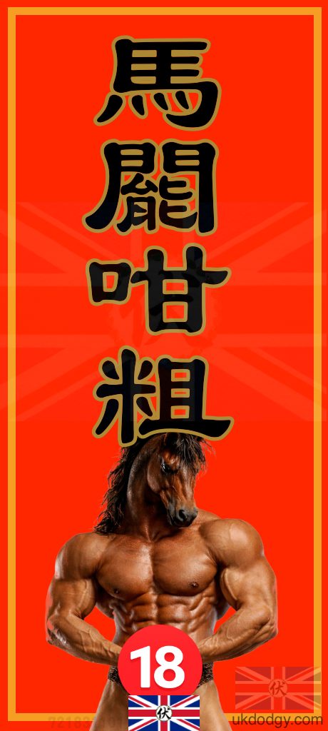 馬𨶙咁粗 | 馬年粗口揮春