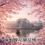 London Cherry Blossom Forecast 2026|倫敦櫻花開花預測