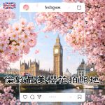 Most Instagrammable Cherry Blossom in London|倫敦最美櫻花拍照地