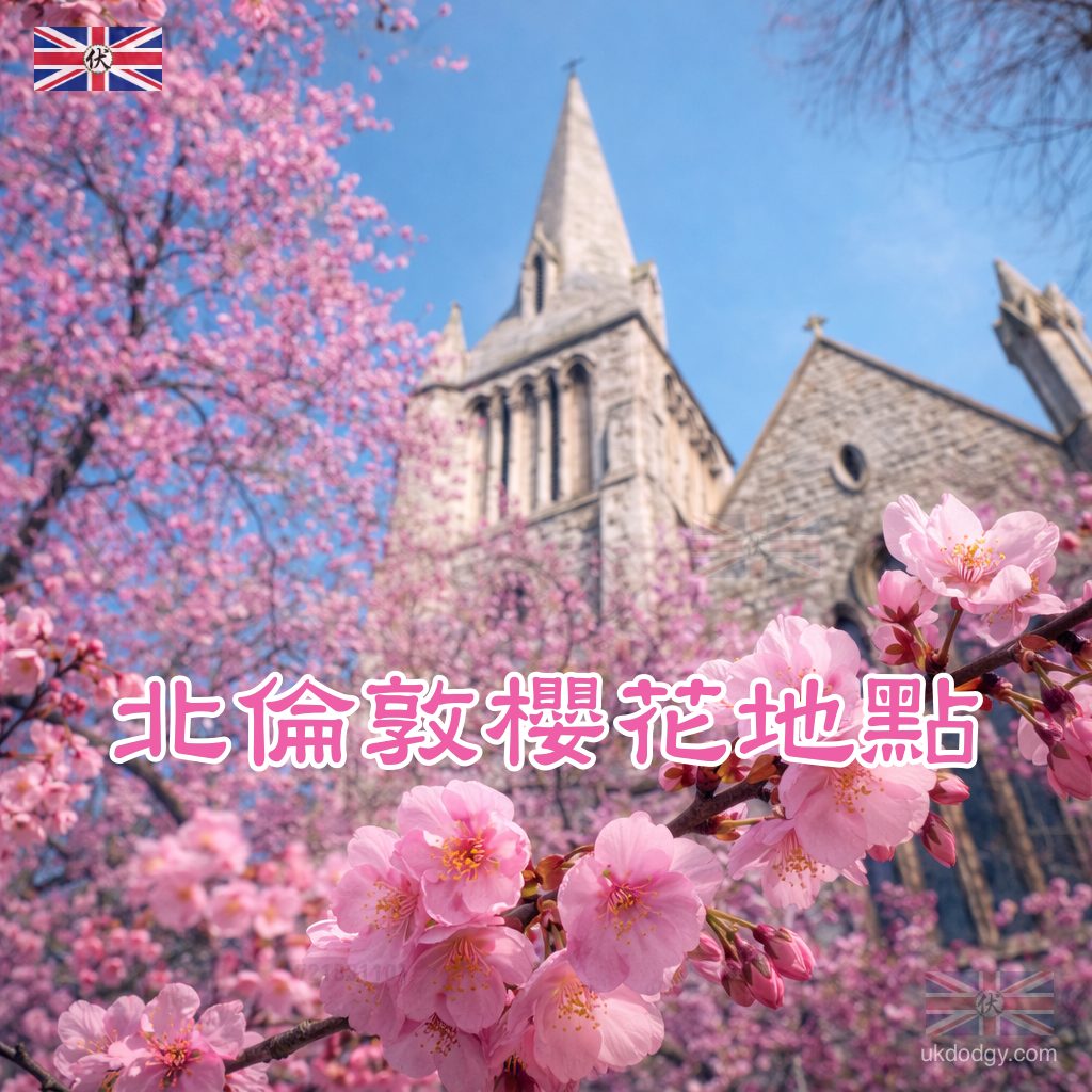 North London Cherry Blossom｜北倫敦櫻花地點