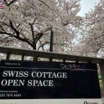 Swiss Cottage Cherry Blossom 2026|倫敦隱藏櫻花地點