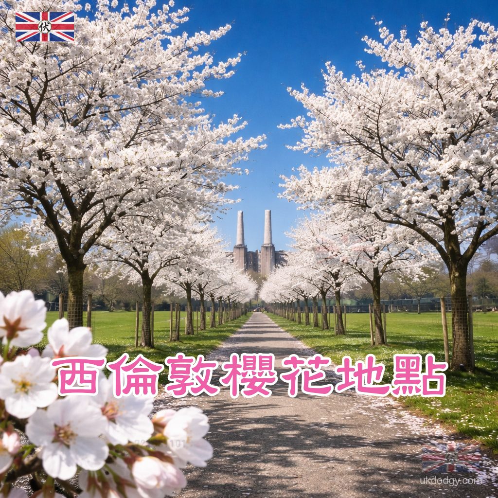 West London Cherry Blossom｜西倫敦櫻花地點