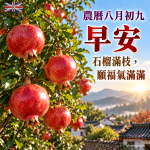 農曆八月初九早安圖|石榴滿枝,願福氣滿滿